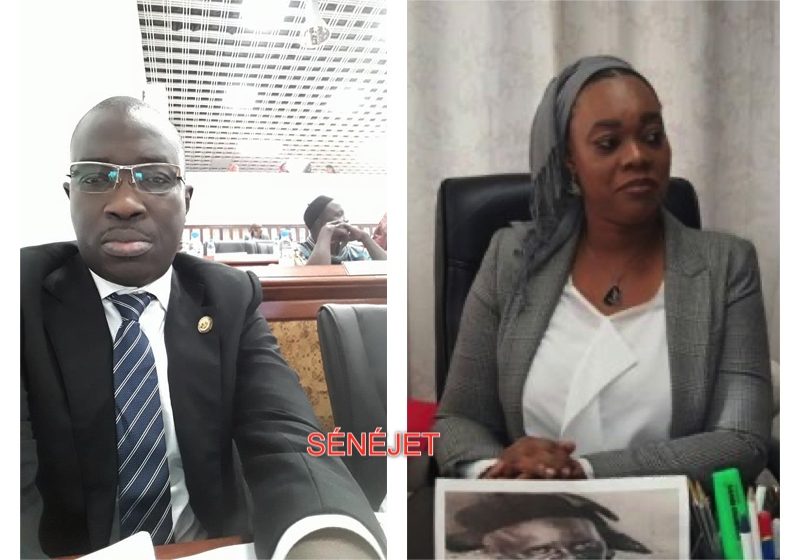 FATCIOKOISS 800x560 - Conseil des ministres: Macky Sall sanctionne la consule de Milan Rockaya BA et nomme Mamadou Lamine Diouf.