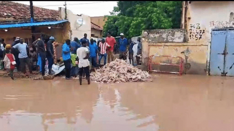 image 1 768x432 - Mbacké-Baol : 66 mm de pluie suffisent pour décimer près d’un millier de poulets au marché central