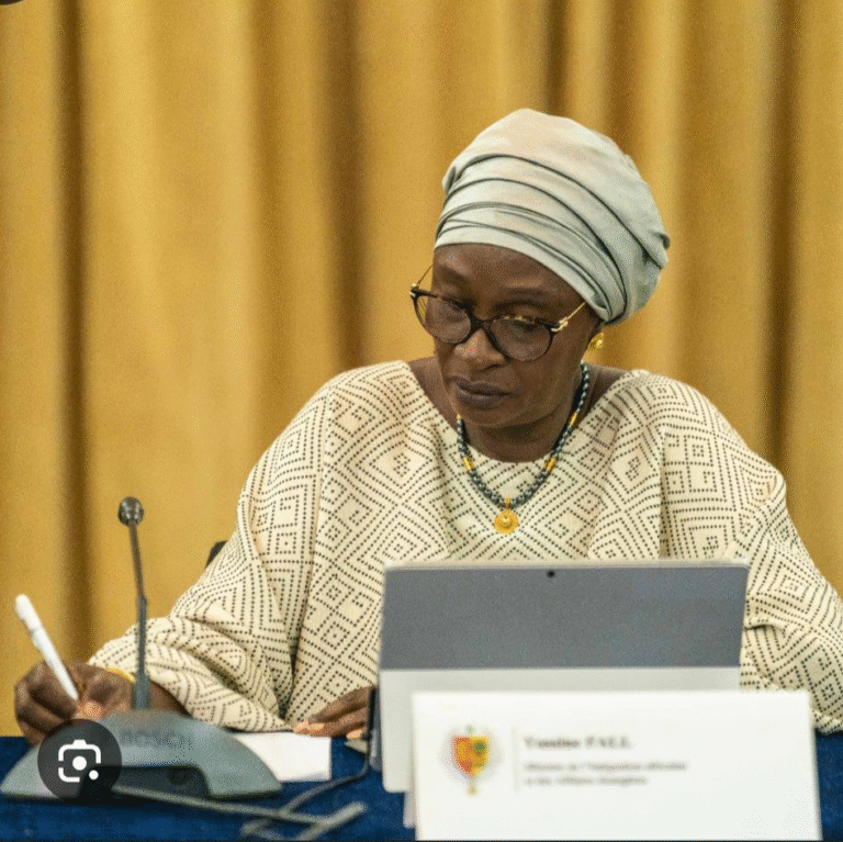 image 13 768x767 - Sénégal - France : EXTRADITIONS : YACINE FALL CLASHE PARIS ET GÈLE TOUT — « LE SÉNÉGAL N’EST PAS UNE BOÎTE AUX LETTRES ! »