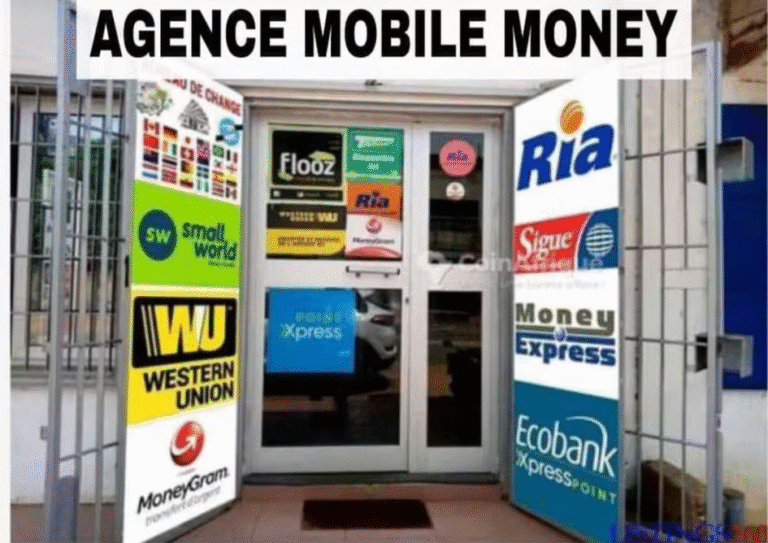 image 22 768x543 - SENEGAL : 2 211 MILLIARDS FCFA DE LA DIASPORA TRANSFORME L’ÉCONOMIE, DÉPASSE L’AIDE PUBLIQUE ET REDÉFINIT LA SOUVERAINETÉ NATIONALE